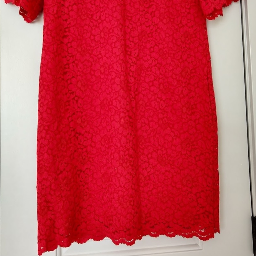 Banana Republic Petite Flutter-Sleeve Lace Dress. - Picture 2 of 4